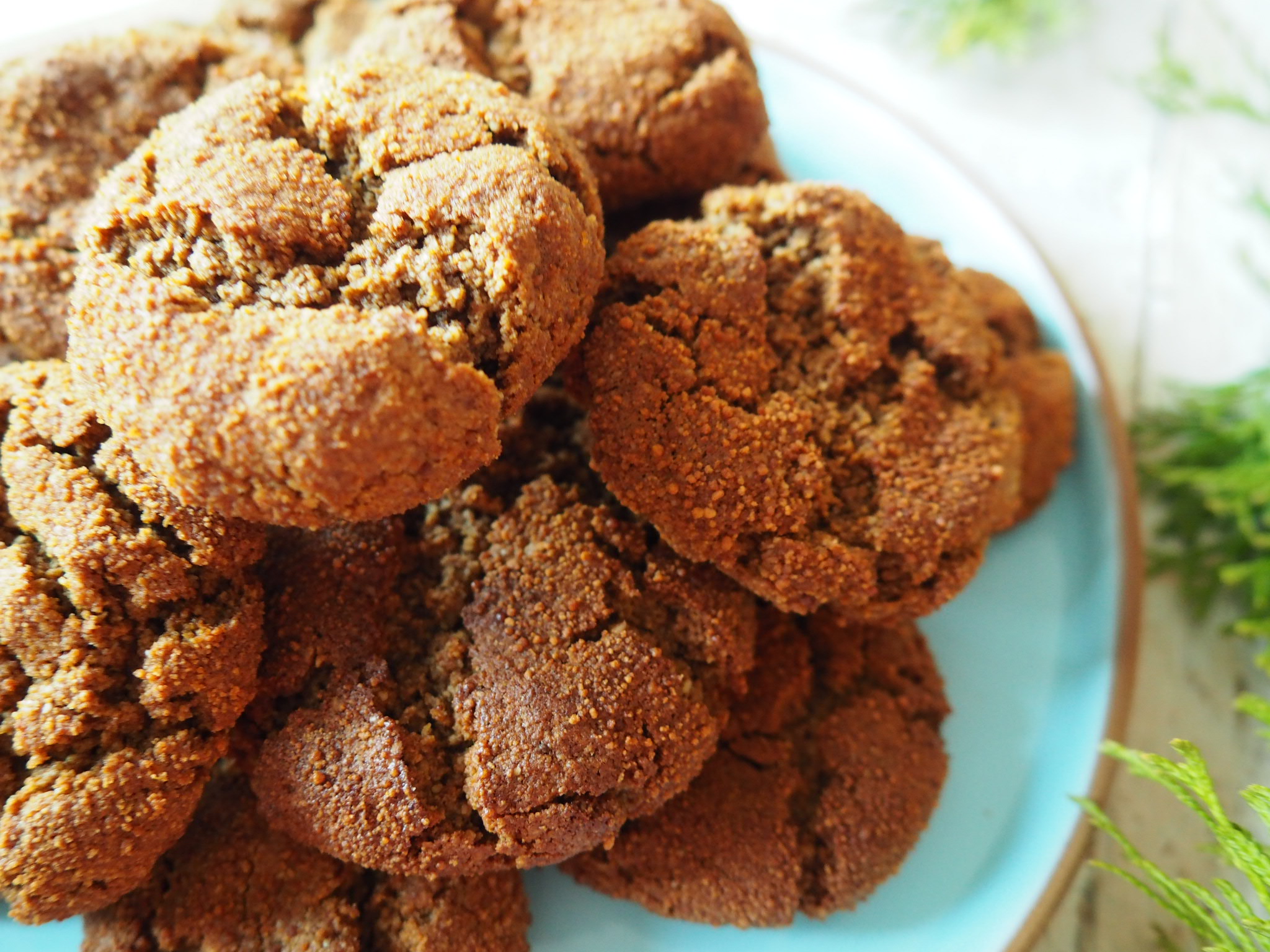 easy-gluten-free-vegan-ginger-snaps-recipe-frugal-and-delicious